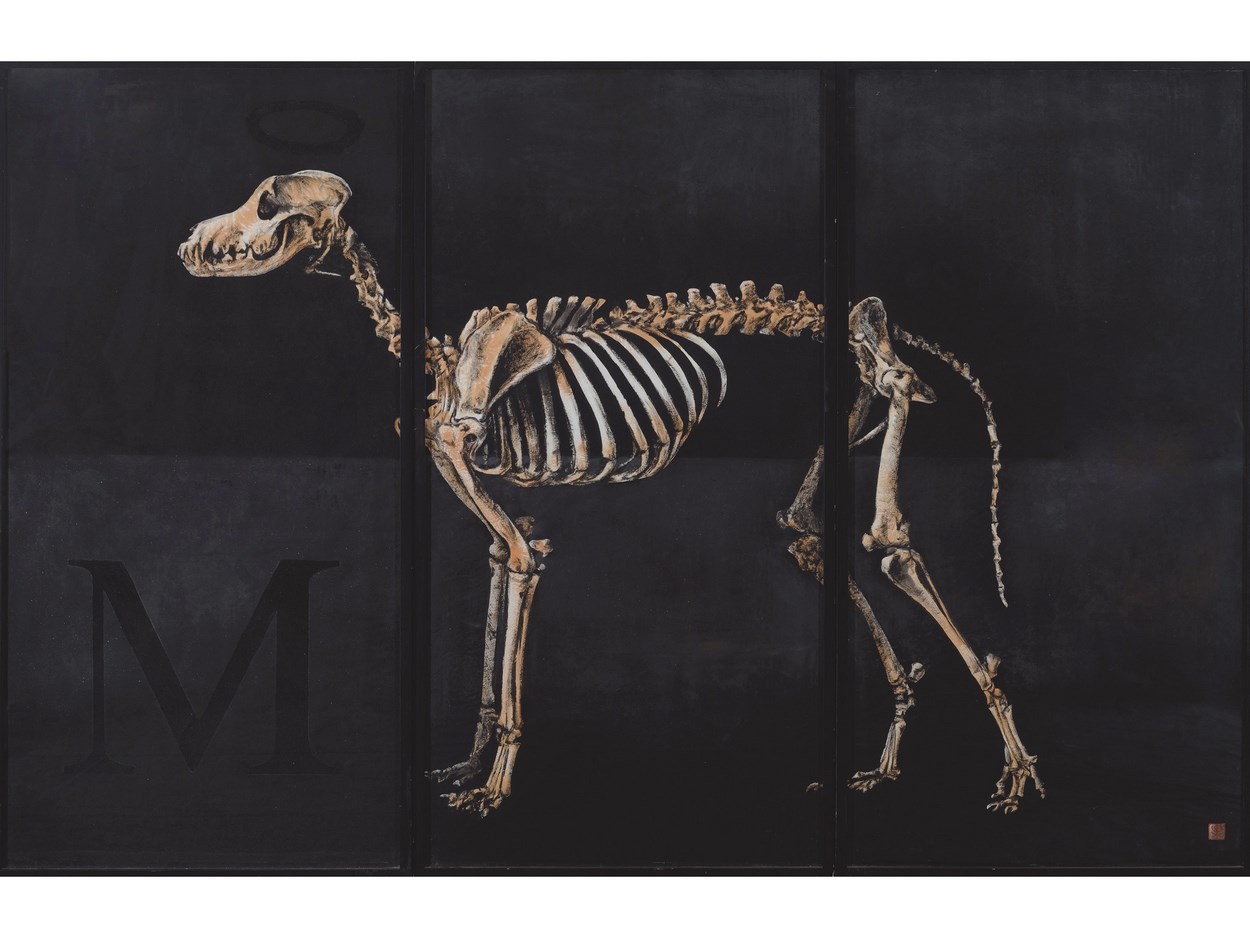 PAPINO LUCADAMO (Buenos Aires,1960), Greyhound Skeleton,