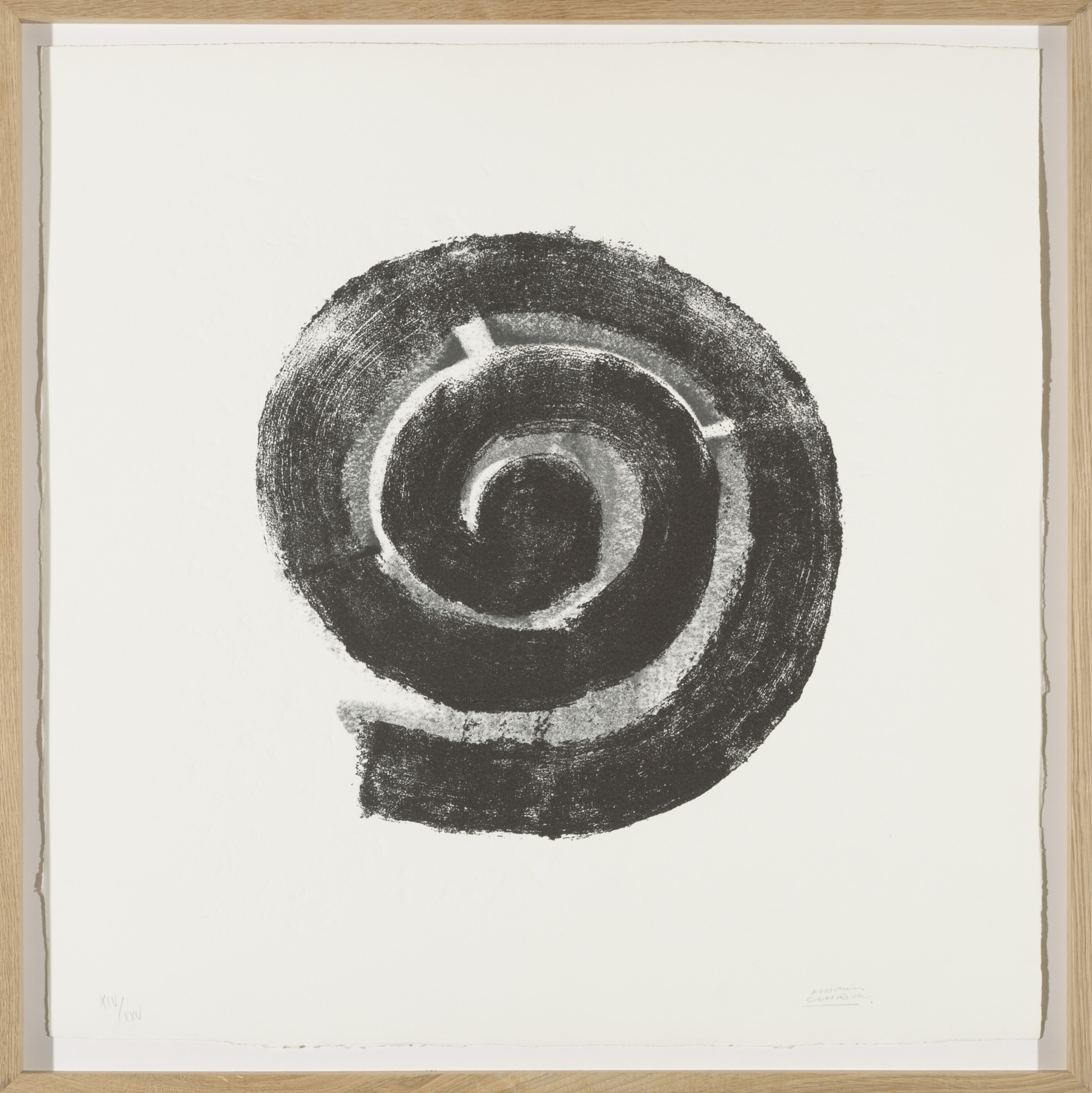 La espiral, 2005