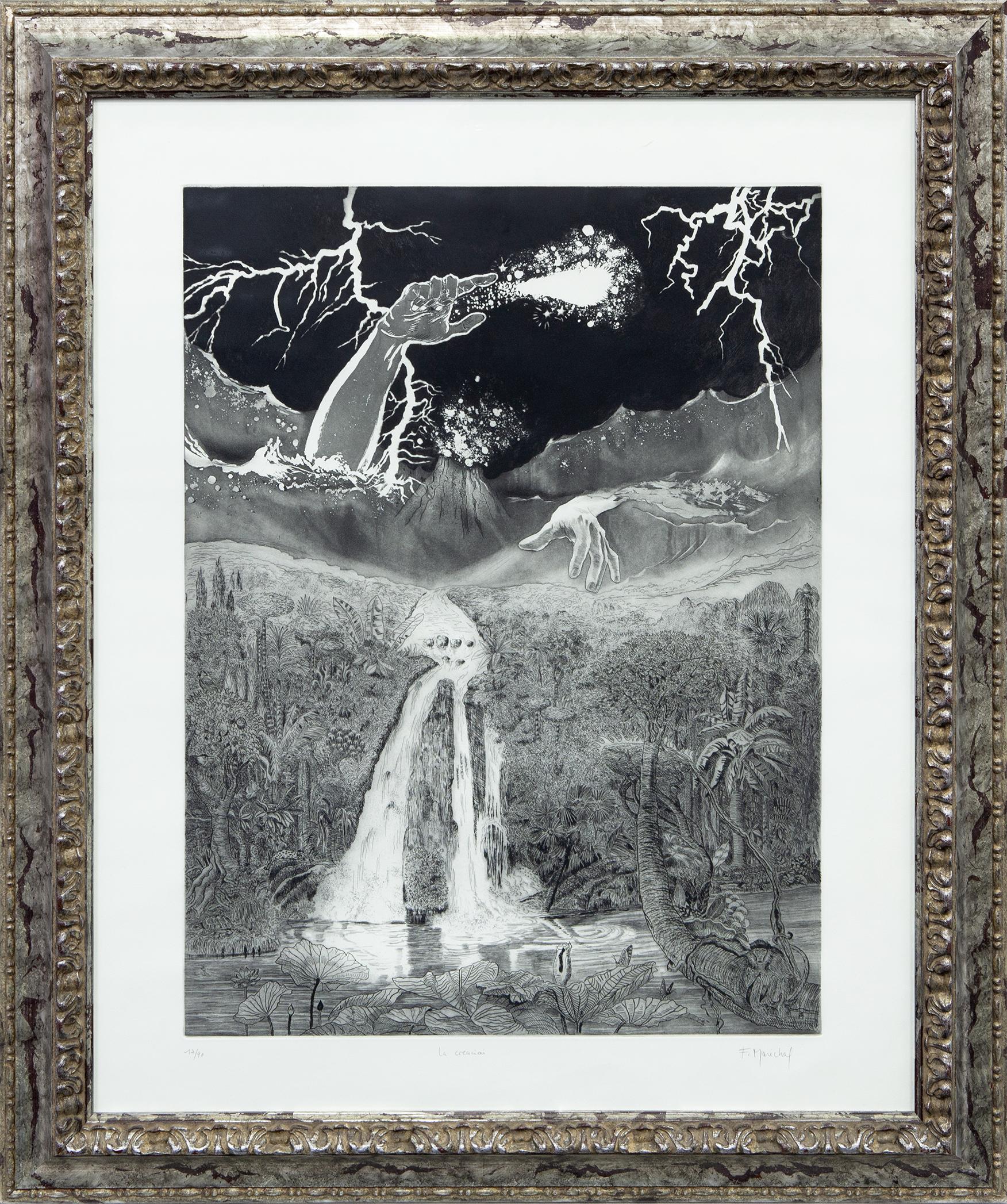 LA CREACIÓN 