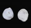 <span class='ref_item'>66 -</span> <span class="object_title">PENDIENTES EN PLATA Y PERLAS KESHI</span>  <p><span class="technical_description">Pendientes realizados en plata con pequeñas perlas keshi de agua dulce tipo botón en tonalidad tornasolada. <br/>Cierre presión. </span><br>Peso: <span class="PESO_HCES1">1,10</span> <span class="PESOUMED_HCES1">gr.</span><br></p>