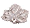 <span class='ref_item'>100 -</span> <span class="object_title">SORTIJA EN METAL CHAPADO EN PLATA CON FORMA DE HOJA</span>  <p><span class="technical_description">Sortija chapada en plata con diseño de hoja de vid<br/>Medida Sortija: 11 (abierta)</span><br>Peso: <span class="PESO_HCES1">12,30</span> <span class="PESOUMED_HCES1">gr.</span><br></p>