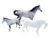 <span class='ref_item'>190 -</span> <span class="object_title">FIGURAS TRES CABALLOS EN CERÁMICA BESWICK</span>   <p><span class="technical_description">Con sello en el vientre. Uno de los caballos presenta roturas.<br/>Medidas grande: 22 x 27cm<br/>Medidas mediano: 15 x 22cm<br/>Medidas pequeño: 14 x 22cm</span><br></p>