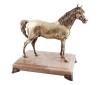 <span class='ref_item'>177 -</span> <span class="object_title">ESCULTURA DE CABALLO VINTAGE EN BRONCE DORADO  ,SOBRE BASE DE MARMOL</span>   <p><span class="technical_description">Escultura con elegante figura de caballo en bronce dorado, sobre peana o base de mármol claro ,beige, apoyada sobre patas decorativas también en bronce. 1º tercio siglo XX<br/>Medidas: 34 x 30 x 20 cm<br/>Peso: 10.950 gr</span><br></p>