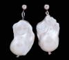 <span class='ref_item'>99 -</span> <span class="object_title">PENDIENTES  EN PLATA DE LEY 925 CON GRANDES PERLAS CULTIVADAS BARROCAS</span>  <p><span class="technical_description">Pareja de pendientes realizados en plata de ley 925 compuestos por dos grandes perlas barrocas cultivadas en agua dulce de color banco y medidas aprox. de 3 cm de largo por 1,7 cm de ancho. Cierre: Presión</span><br>Peso: <span class="PESO_HCES1">16,14</span> <span class="PESOUMED_HCES1">gr.</span><br></p>