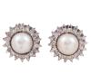 <span class='ref_item'>38 -</span> <span class="object_title">PENDIENTES EN ORO DE 14 KT CON PERLAS CULTIVADAS Y ORLAS DE DIAMANTES</span>  <p><span class="technical_description">Pareja de pendientes realizados en oro de 14 kt. Con perlas cultivadas en el centro de color blanco y calibradas aprox. 9 mm. rodeadas por orla de diamantes en talla 8/8 con peso total aprox. 1 ct.<br/>Cierre pendientes: Omega</span><br>Peso: <span class="PESO_HCES1">13</span> <span class="PESOUMED_HCES1">gr.</span><br></p>