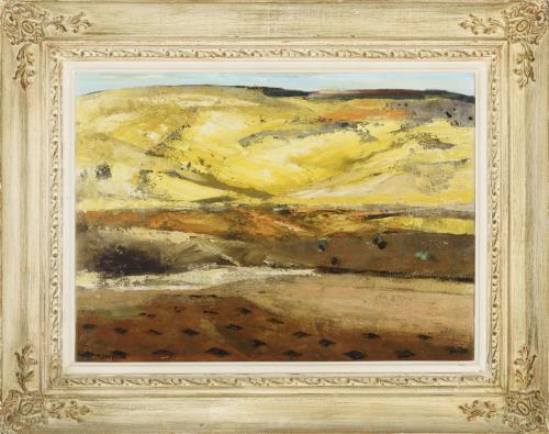 TIERRAS AMARILLAS, 1973