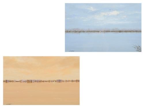 Vistas de la Albufera