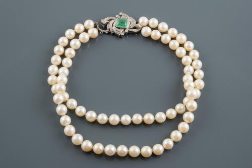 Collar