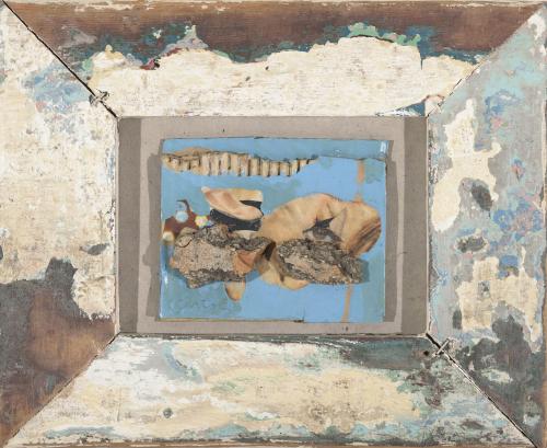 Sin titulo. Cortezas