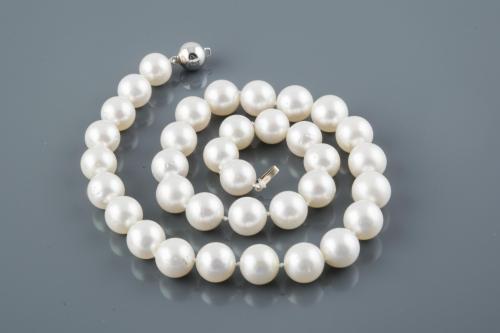 Collar