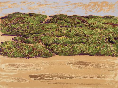 Paisaje