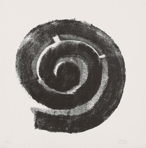 Espiral 3 y Espiral 8 . 2005