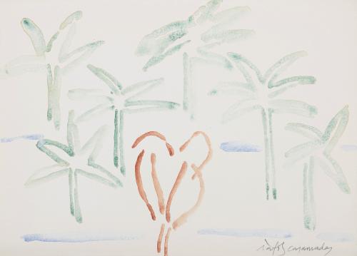 Palmeras
