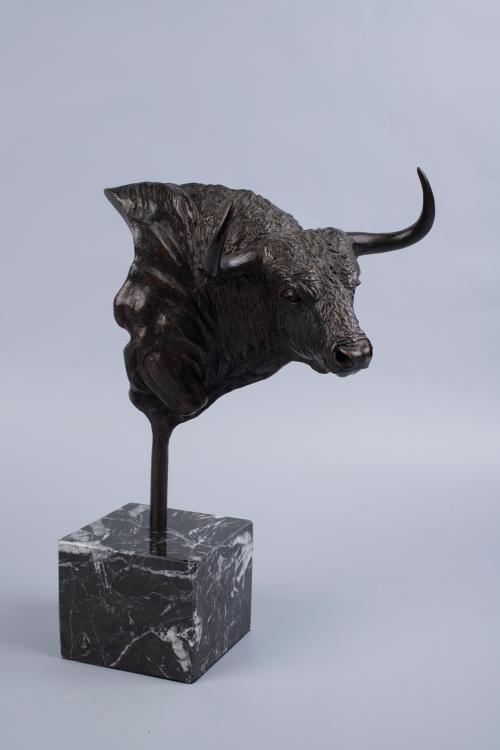 Cabeza de toro