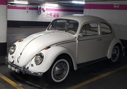 VOLSWAGEN BEETLE LIMOUSIN DE LUXE 1965