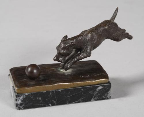 Fox terrier y pelota