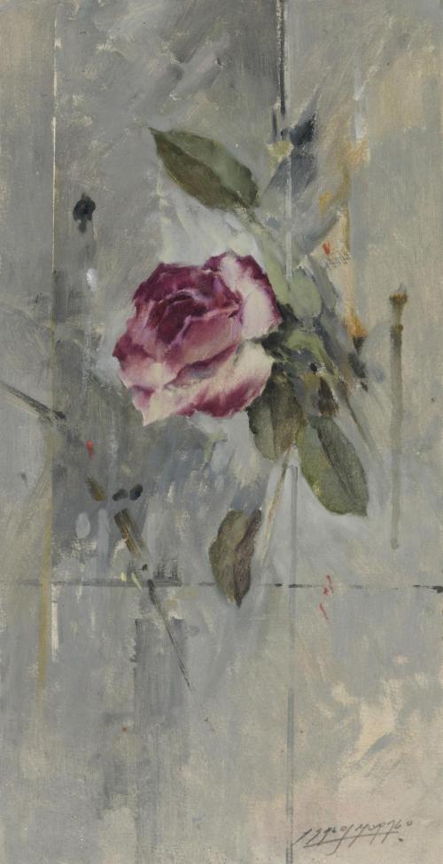 Rosa