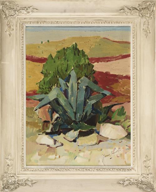 Paisaje con cactus