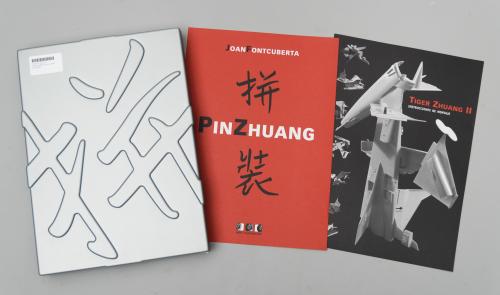 Pin Zhuang, 2004