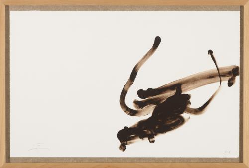 Elegías Romanas, 1993