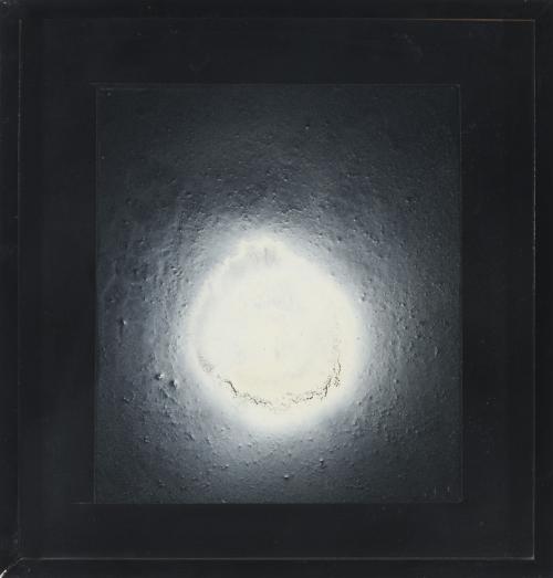 Cosmos