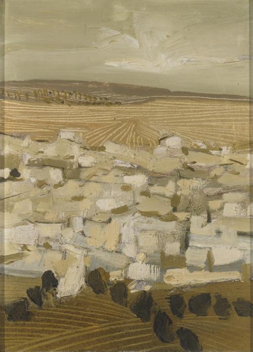 Campos en ocre