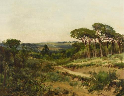 Paisaje 