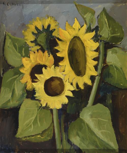 Girasoles