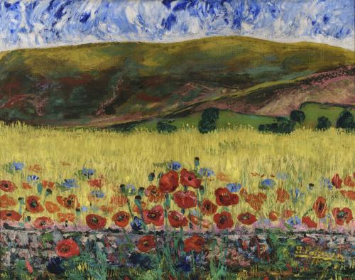 Campo de amapolas 