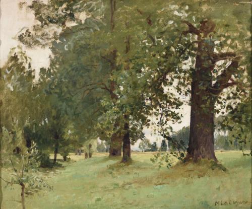 BOSQUE