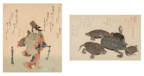 Luchador y tortugas