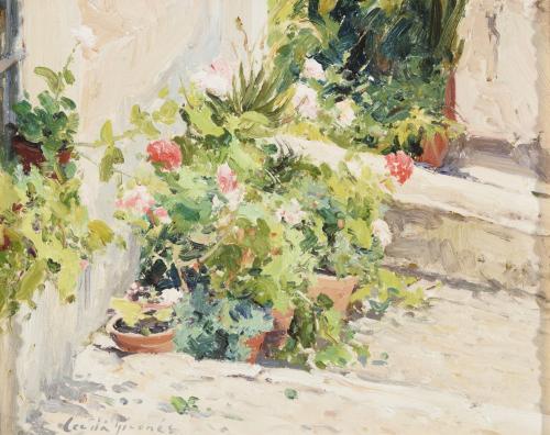Patio con flores