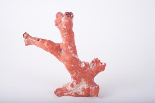 Coral