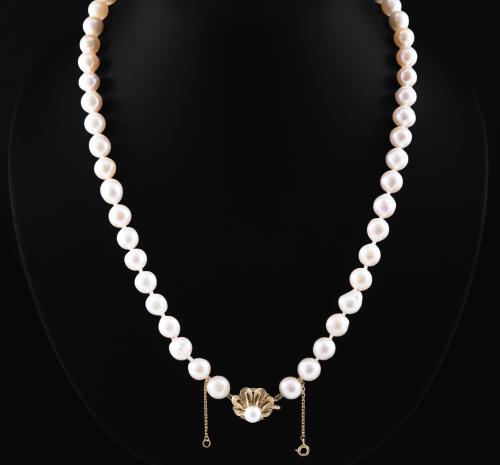 Collar