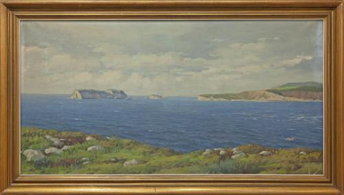 PAISAJE DE COSTA