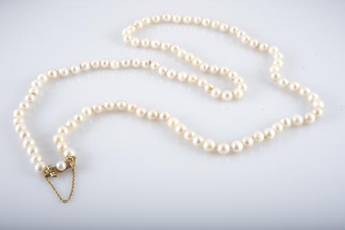 Collar 