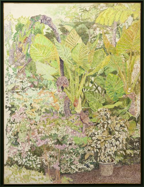 VEGETACIÓN DE GRAN CANARIA, 1983-1984