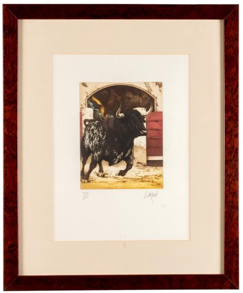 TORO