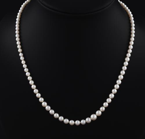 Collar
