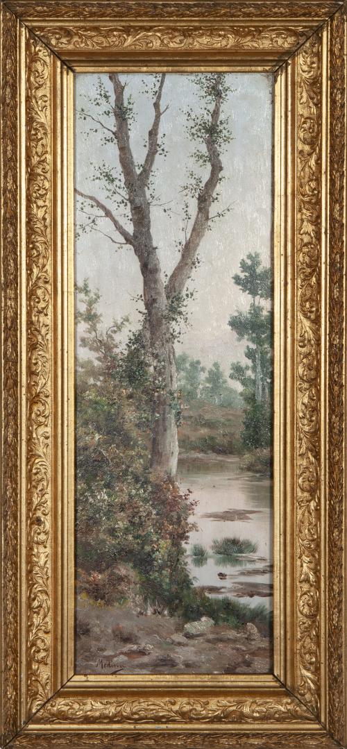 PAISAJE