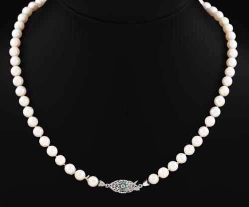 Collar