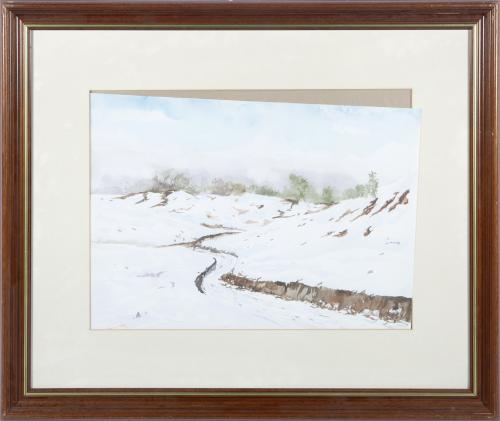 PAISAJE NEVADO