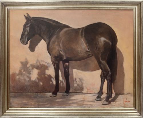 CABALLO 