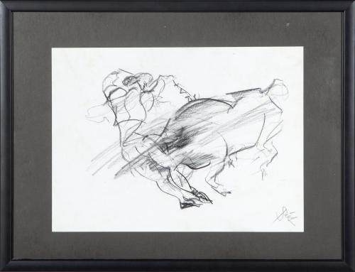 TORERO