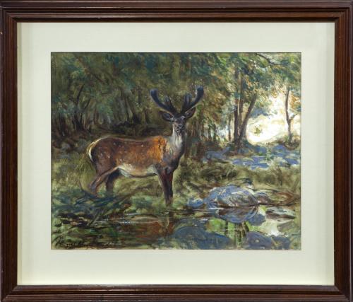 VENADO EN PAISAJE 