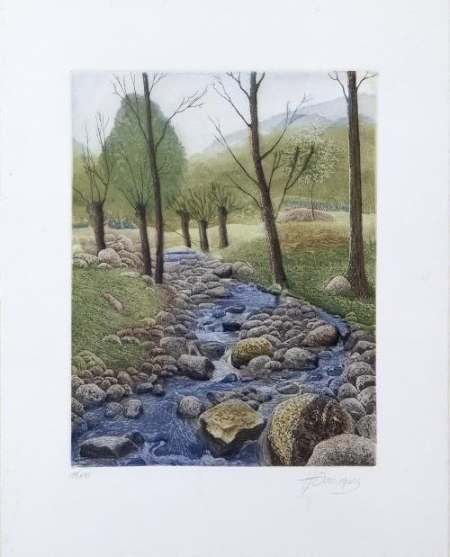 IMPRESIÓN PAISAJE