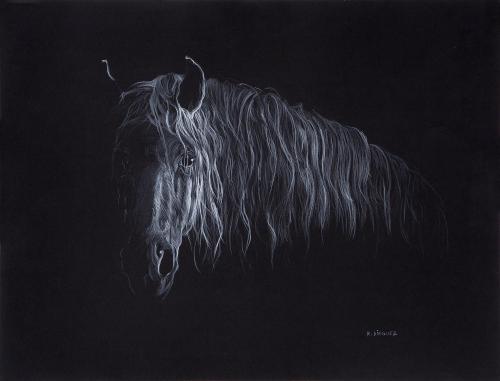CABEZA DE CABALLO EN ACTITUD DE ATENCIÓN CON CRIN CAÍDA EN 