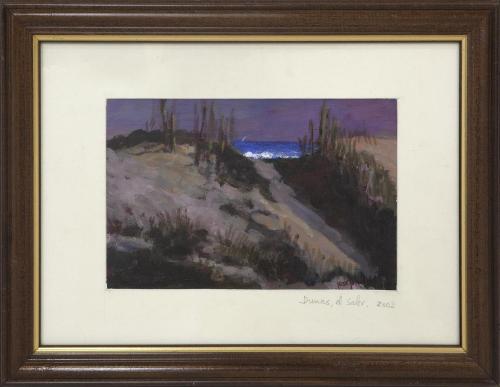 DUNAS, EL SALER, 2002