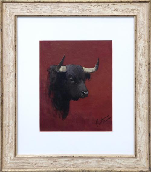 CABEZA DE TORO