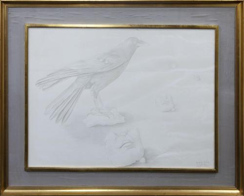 "PÁJARO", 1972